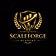 ScaleForge Academy