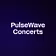 PulseWave Concerts