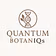 Quantum Accelerator