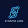Synapse Labs