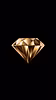 Wealth Theory