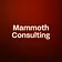 Mammoth Consulting 
