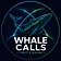 Whale Flow Calls