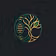 The Longevity Code