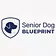 Senior Dog Education