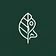 The Wellness Collective