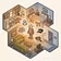 Dementia-Safe Home Navigation SOP
