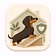 Dachshund Back Injury Prevention Ebook