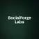 SocialForge Labs