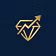 Premium Insider Group