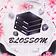 BlossomHost