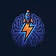 BrainCamp