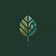 Rooted Decisions