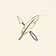 Brushwork & Script Studio