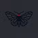 Mothman Witness Academy