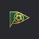 The Flag Code