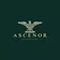 Ascenor Consulting
