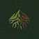 WildRoots Gear