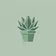 Sprout & Stone Succulent Academy