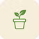 Roots_جذور