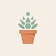 Succulent Society Academy