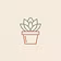 Succulent Sage