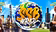 SSB Dev Solutions
