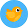 FlapDash