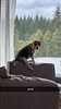 LoungeSweeps