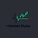 Market Pulse