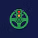 Green Light Driving School