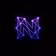 Network Nights