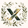 VibeX HQ LLC