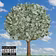 MONEYTREEE
