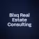 Blxq Real Estate Consulting