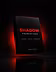 Shadow Program