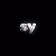 SY Digital