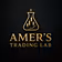 Amer’s Trading Lab