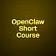 OpenClaw Short Course
