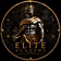 The Elite Academy