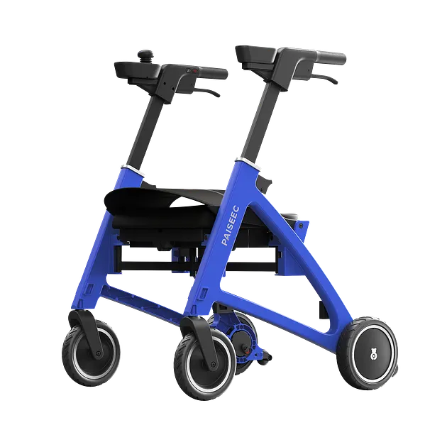 Paiseec R3 FLEX 3-in-1 Lightweight Mobility Device