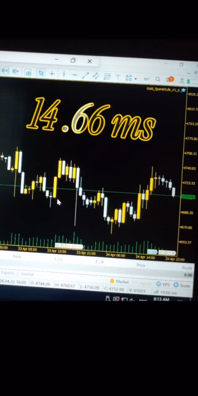 file_mujwVc6XRaIT7