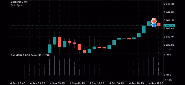 1-on-1 Trading Coaching calls 