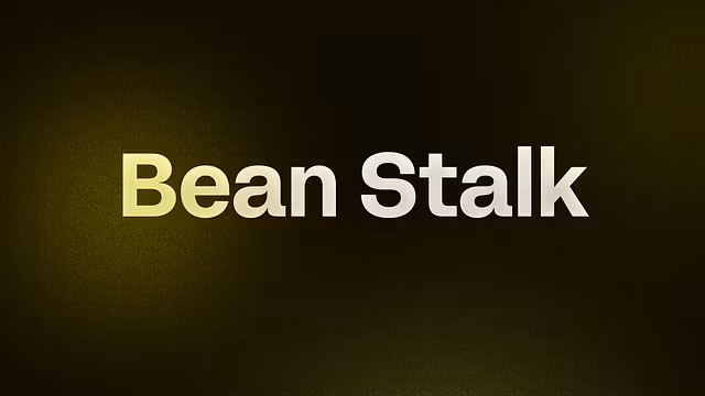 The Secret Behind TikTok