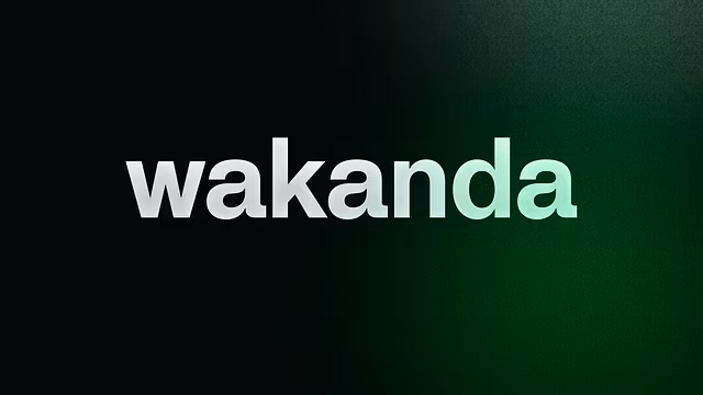 Wakanda Minimalist Wallet