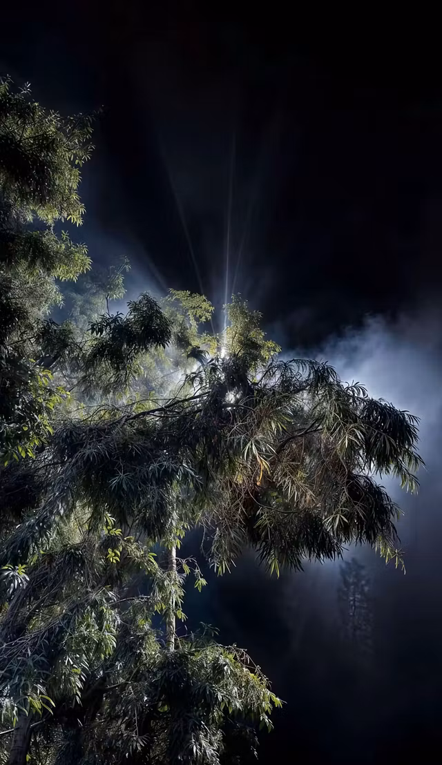 Tech Founders Mastermind