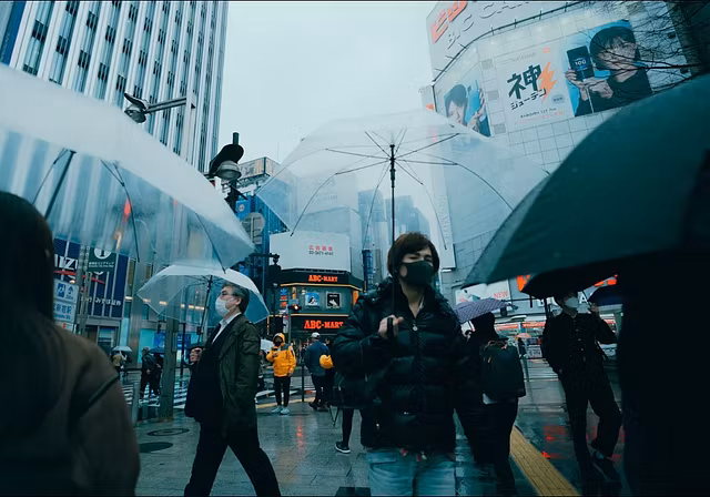 SnapSavvy: Photo & AI Starter