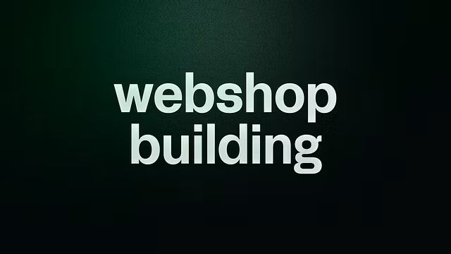 building a dropship website