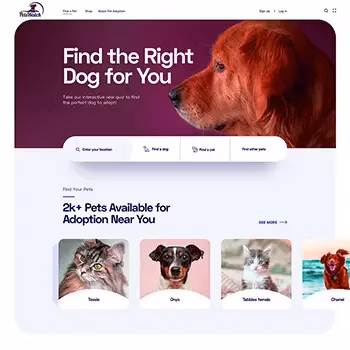 Startup Website (No refunds)