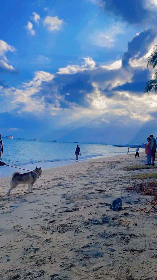 welcome to your success 🖤